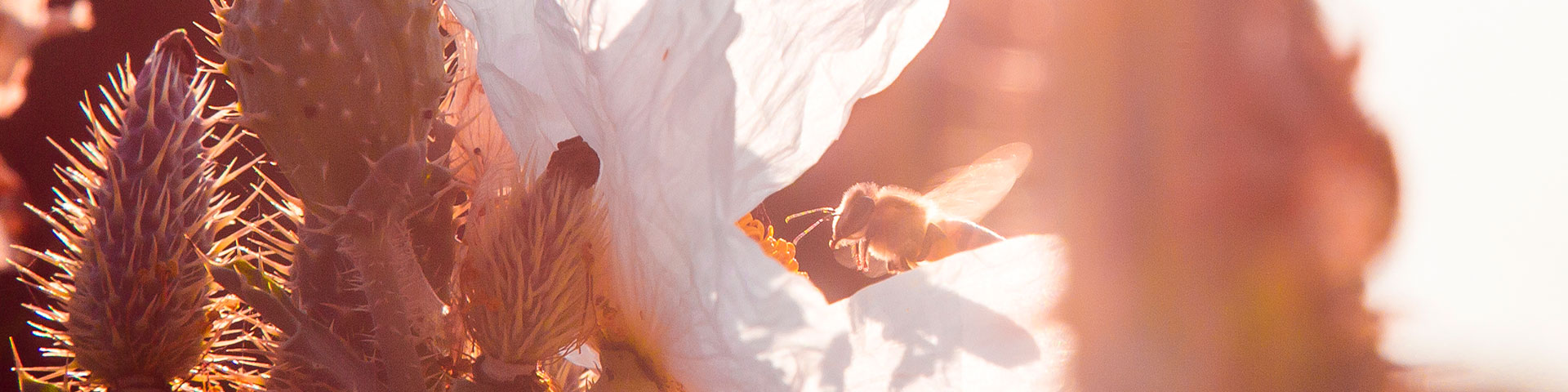 Contact Us - Yavapai County, Arizona